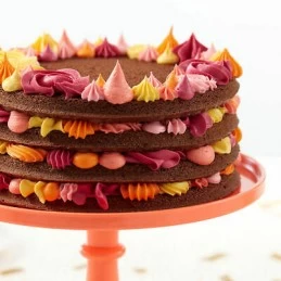 Wilton 4 Layer Cake Pan Set | Bakeware
