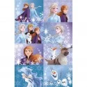 Lenticular Frozen 2 Stickers (Set of 16)