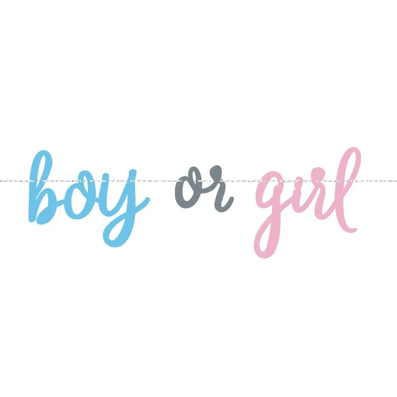 Boy or Girl Gender Reveal Banner, Baby Shower Party Supplies