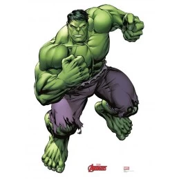 Avengers The Hulk Stand Up Photo Prop | Avengers Party Supplies