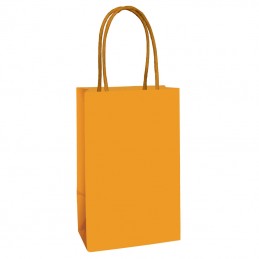 Orange Paper Gift Bags (Pack of 8)