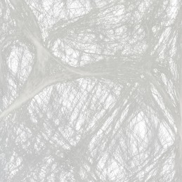 Stretchable White Spider Webs (60g)