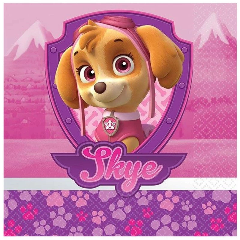 Skye Paw Patrol Girls Party Supplies for 16. Includes Cups, Plates,  Napkins, Tablecloth, Stickers. Pink and Purple Theme Dinnerware Decoration  and Favors