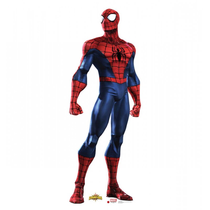 Spiderman Stand Up Photo Prop | PARTY SUPPLIES | Who Wants 2 Party