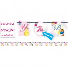 Disney Beauty and the Beast Birthday Banner Kit | Discontinued Party Supplies