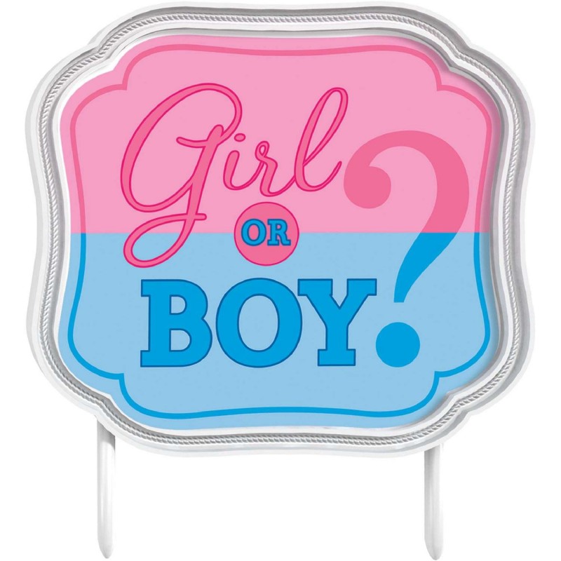 Gender Reveal Cake Topper Party Supplies Who Wants 2 Party