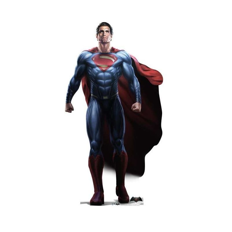 Superman Stand Up Photo Prop | Batman Party Supplies