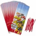 Paw Patrol Party Bags (Pack of 16)
